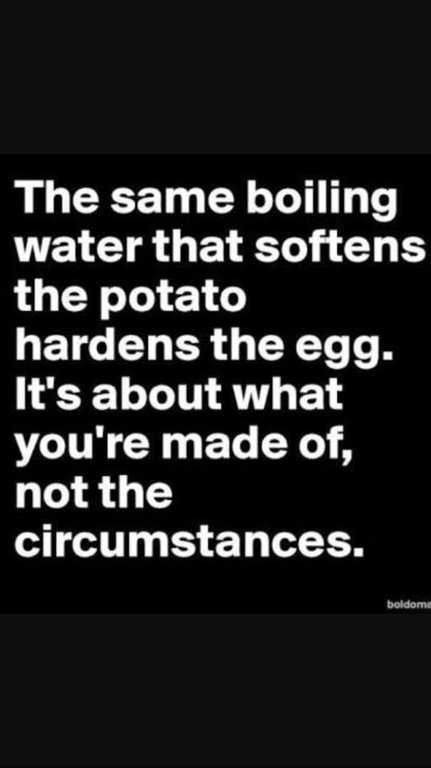 Boiling water soften the potato, and hardens the egg