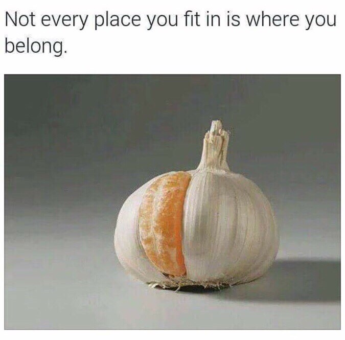 Not Every Place You Fit In Is Where You Belong
